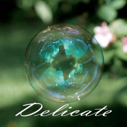 DELICATE playlist