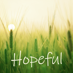 HOPEFUL playlist
