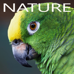 NATURE playlist